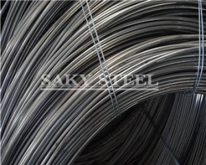 Stainless Steel Cold Heading & Cold Forming Wire For Fasteners
