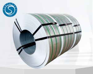 Precision 304 Stainless Steel Strips