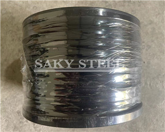 China factory aisi 304 stainless steel wire rope - Saky Steel