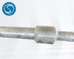 316 Forging Steel Roller Shaft