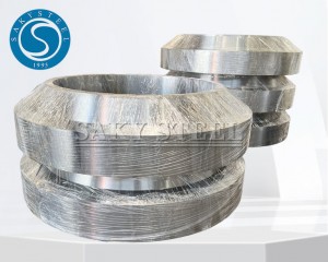  304L stainless steel forging rings